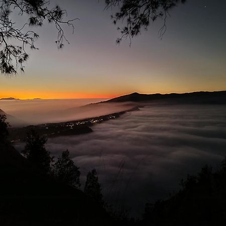 Uciek Tengger Bromo Ngadisari 外观 照片