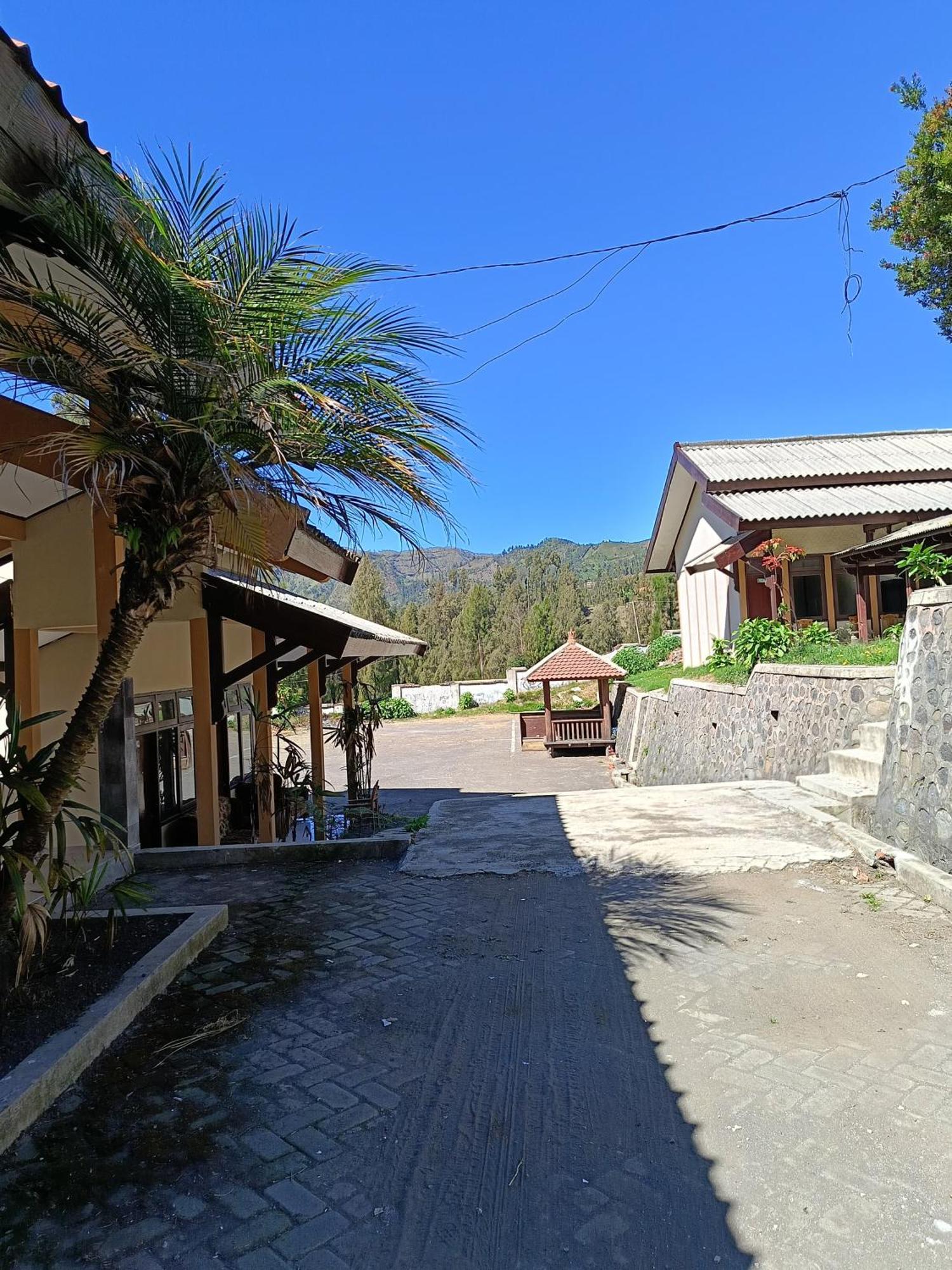 Uciek Tengger Bromo Ngadisari 外观 照片